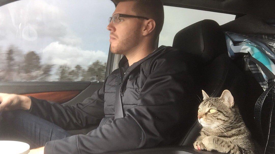 Freddie Freeman's cat makes trip to spring training