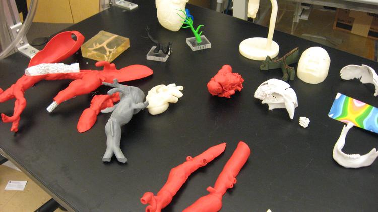 Replicas of body parts made using 3-D printing technology by the University of Colorado's bioengineering program, on the University of Colorado Anschutz Medical Campus, Aurora, Colorado
