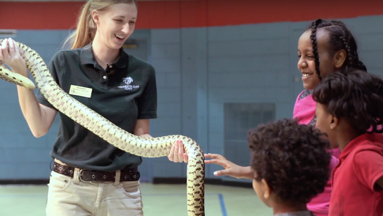 St. Paul students get up close and personal with this Minnesota Zoo constrictor.