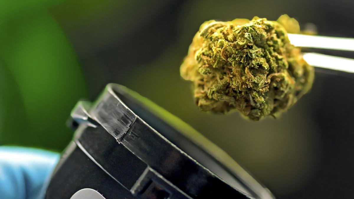 Ohio Employers Would Be Able To Fire Medical Marijuana Users No Matter 