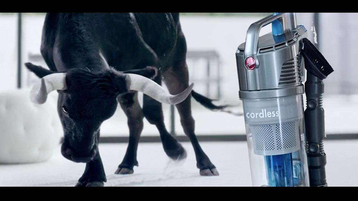 Hoover brings on a bull in new ad campaign from Noble Communications