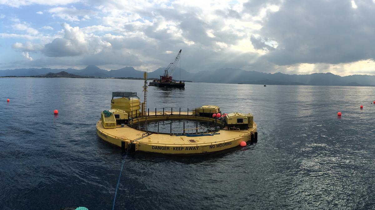 Navy Deploys Wave Energy Device Off Marine Corps Base Hawaii's Waters ...