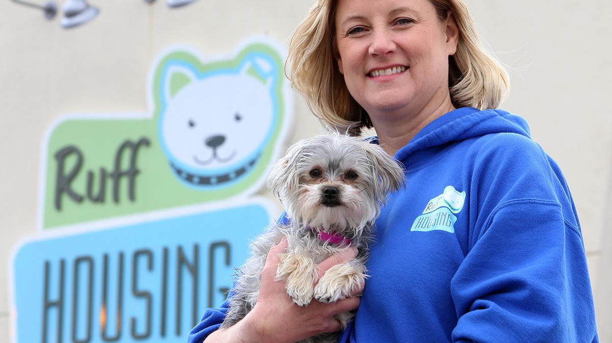 Ruff Housing doggie daycare facility to undergo 2 million renovation