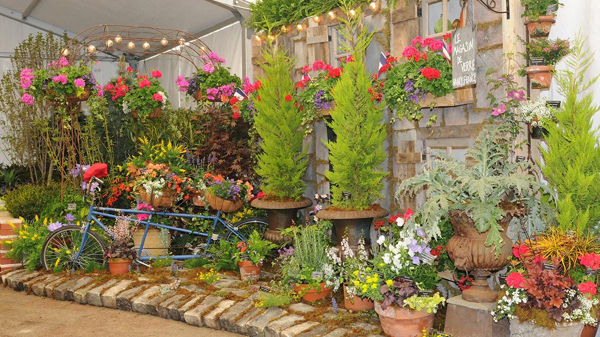 Cincinnati's 2016 Flower Show kicks off PHOTOS Cincinnati Business