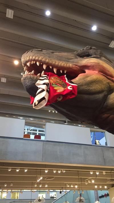 Meet Tarasenkosaurus: Saint Louis Science Center dinosaur chews up Blackhawks jersey (Video ...