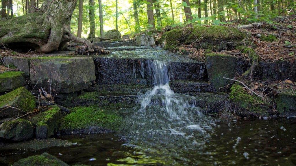 Adirondacks properties near New York's Great Sacandaga Lake attract two