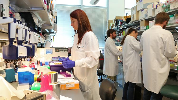 Click through to see the economic impact of the biopharmaceutical sector in Arizona in 2014. In this photo, research associates work in the Neurogenomics Division at the Translational Genomics Research Institute in Phoenix.