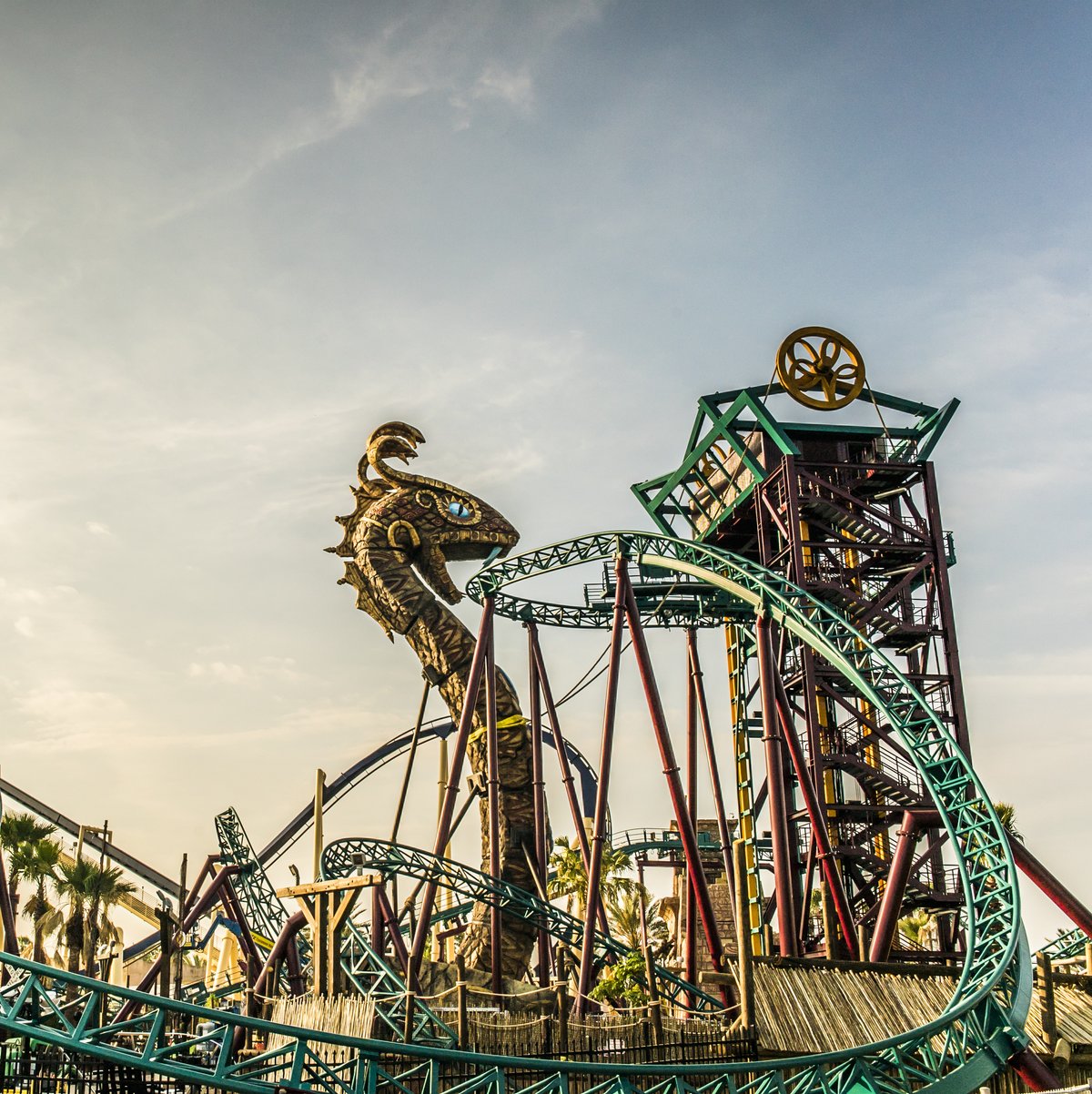 Cobra's Curse - Spinning Roller Coaster