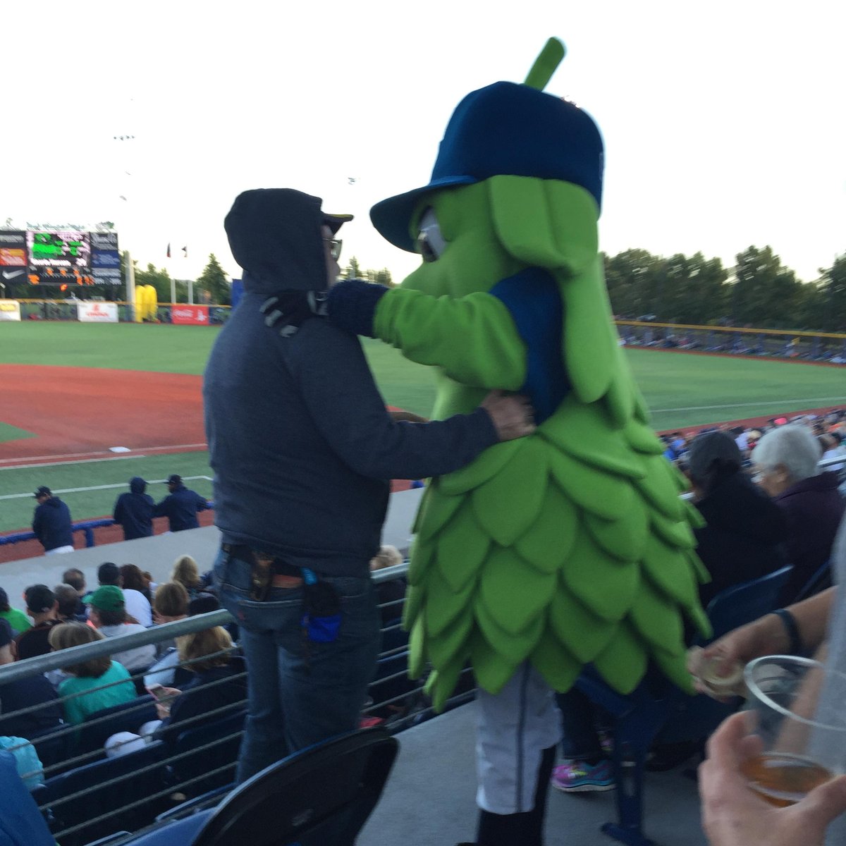 Hillsboro Hops officially announce affiliation deal, Sports