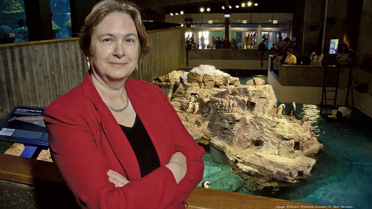 Outgoing New England Aquarium CEO on her biggest success - Boston ...