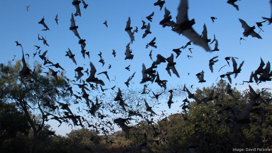 South Texas rancher profile Annandale Ranch’s place in history