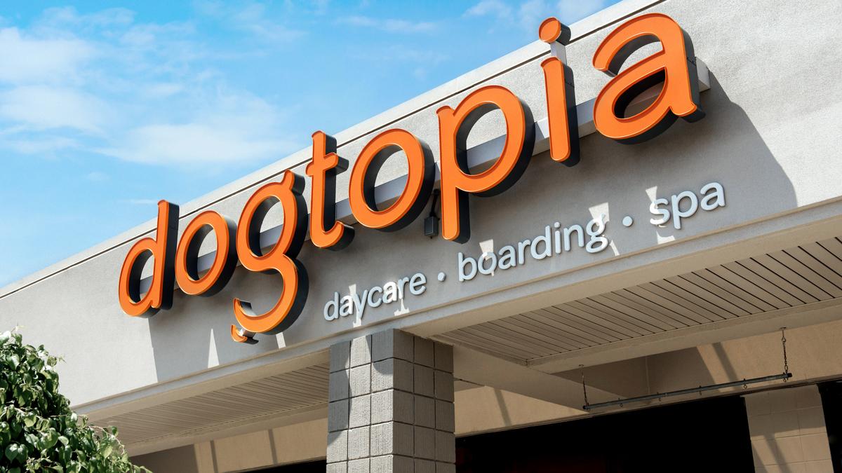 Pet daycare chain Dogtopia opens second Phoenixarea spot Phoenix