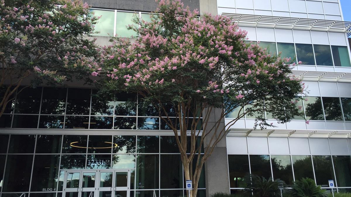 TriNet adds Austin jobs as it helps companies with Obamacare - Austin ...