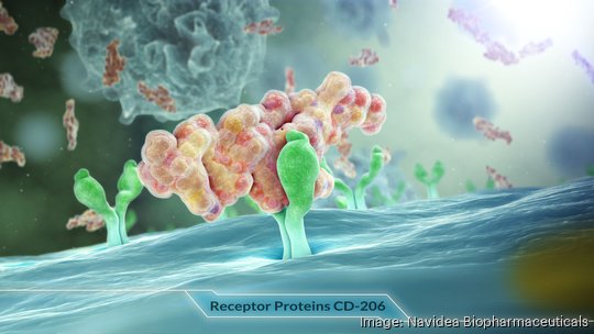 Navidea Lymphoseek illustration of receptor binding