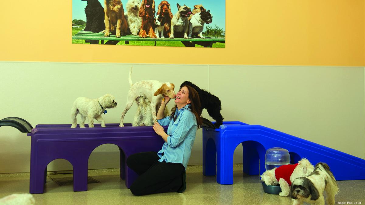 National doggie daycare franchise eyes Greater Baltimore expansion