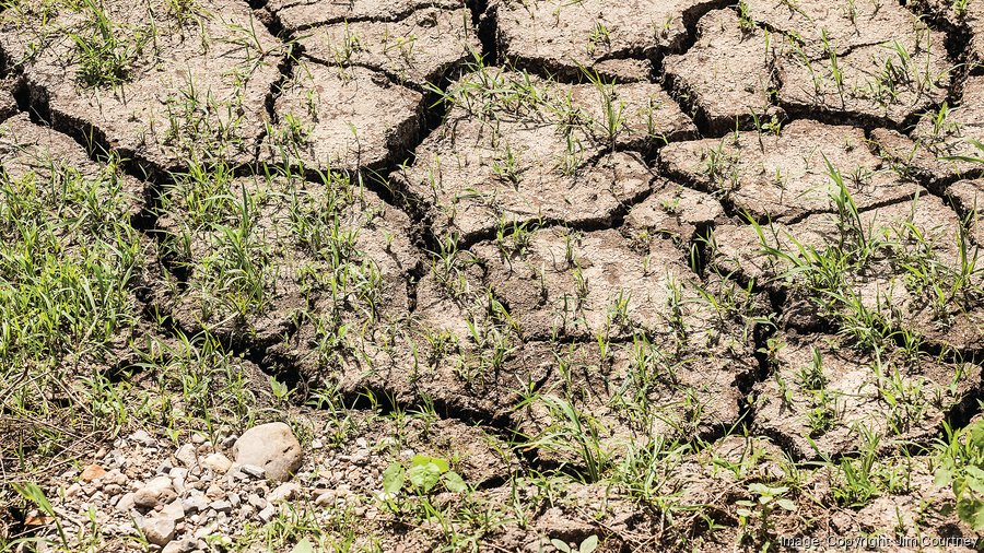 Worried about the drought? Here's how it could impact your business ...