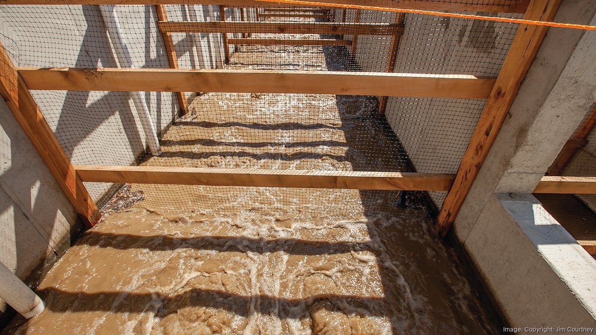 Timberfish Technologies in Amherst wants to feed the world - Buffalo ...