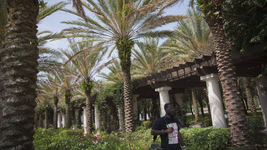 Usf Scene USF will get millions after hitting performance goals - Tampa Bay ...