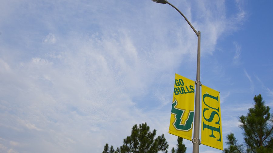 Usf Scene USF Tampa Campus Scenes FJG USF 0017