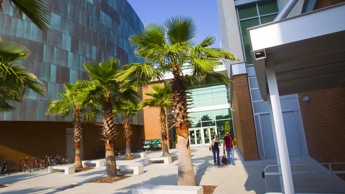  University  of South Florida  ranks as top tech research 