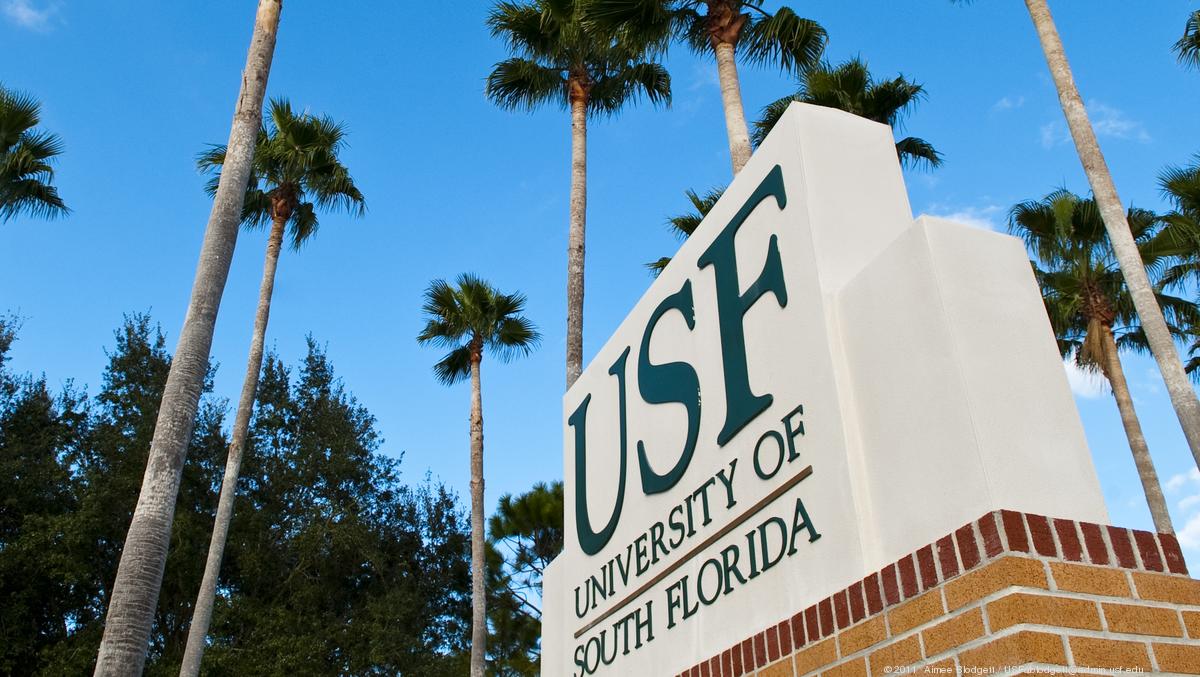 does usf require essay