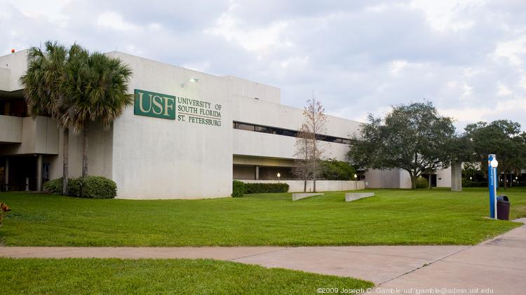 Usf St Pete Majors >> Usf St Pete Majors Top New Car Release Date Usf St Pete Majors >> Usf St Pete Majors Top New Car Release Date