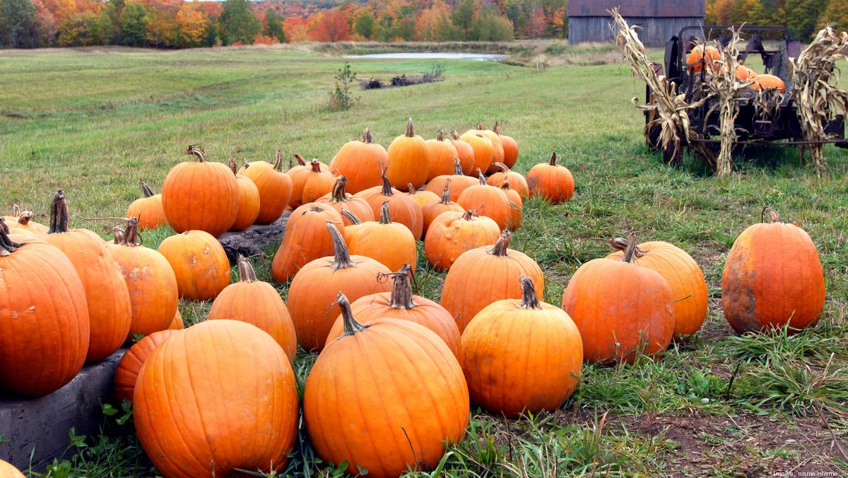 Home Depot cutting pumpkins from inventory in Texas, Florida after