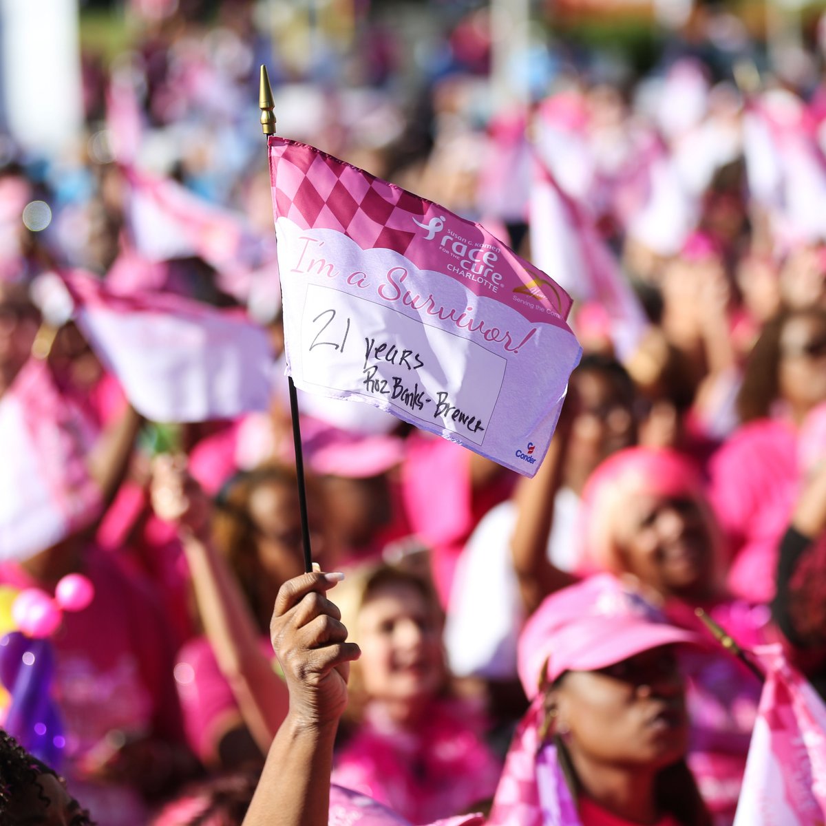 Breast cancer awareness walk Charlotte More than Pink