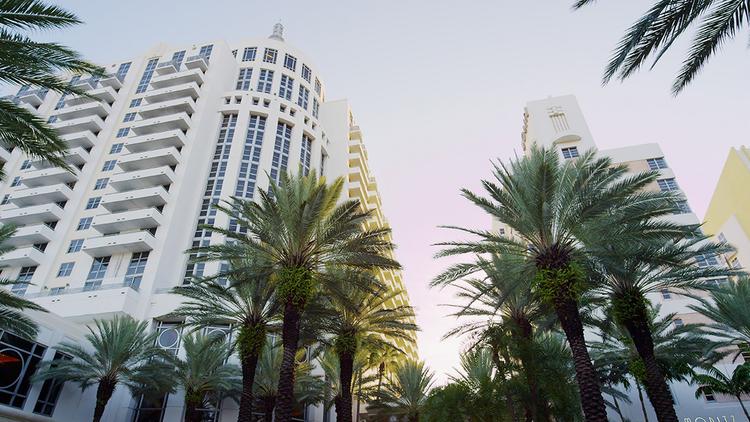 Art Basel Loews Miami Beach To Complete 50m Reno In Time For The Loews Miami Beach Is At 1601 Collins Ave In