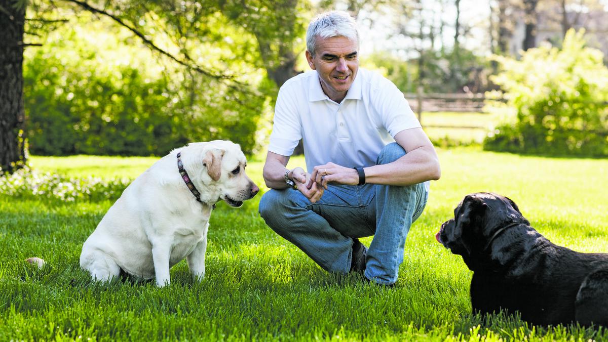 Whitebridge Pet Brands gets new, European owner St. Louis Business