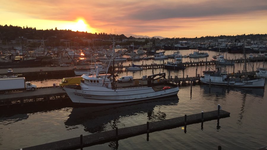 Fishermans Terminal