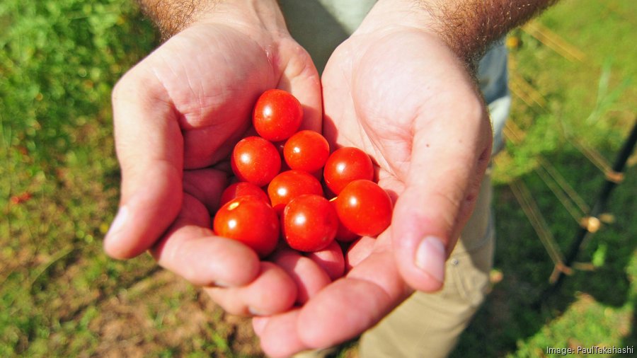 Allied Orion Group breaks ground on apartments in Harvest Green