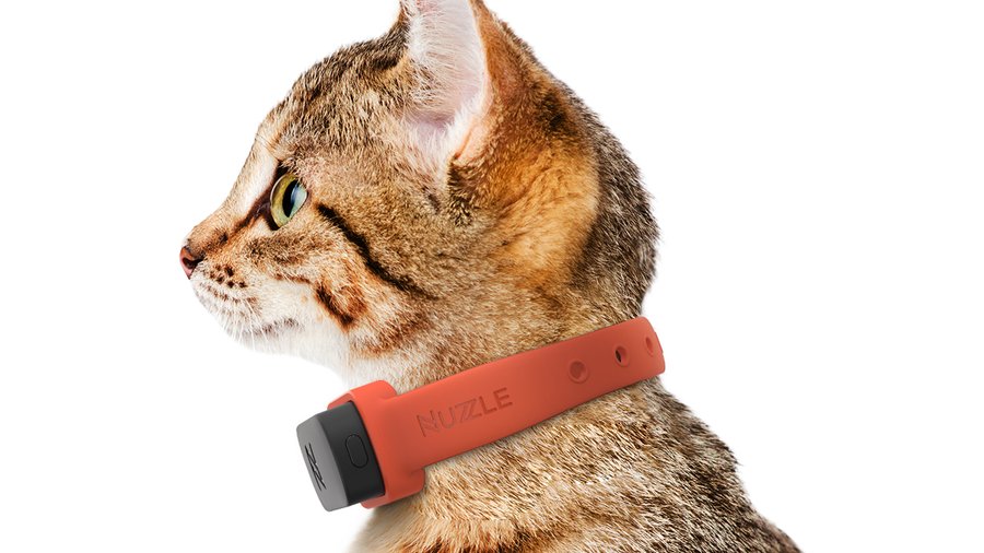 Nuzzle wants to make sure you never lose your pet New York Business Journal