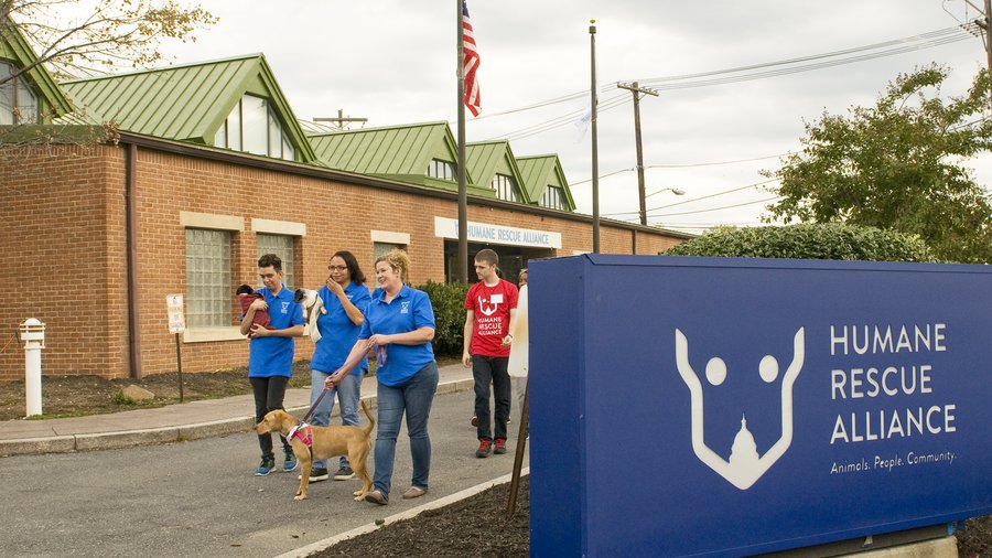 Dc Humane Humane Rescue Alliance