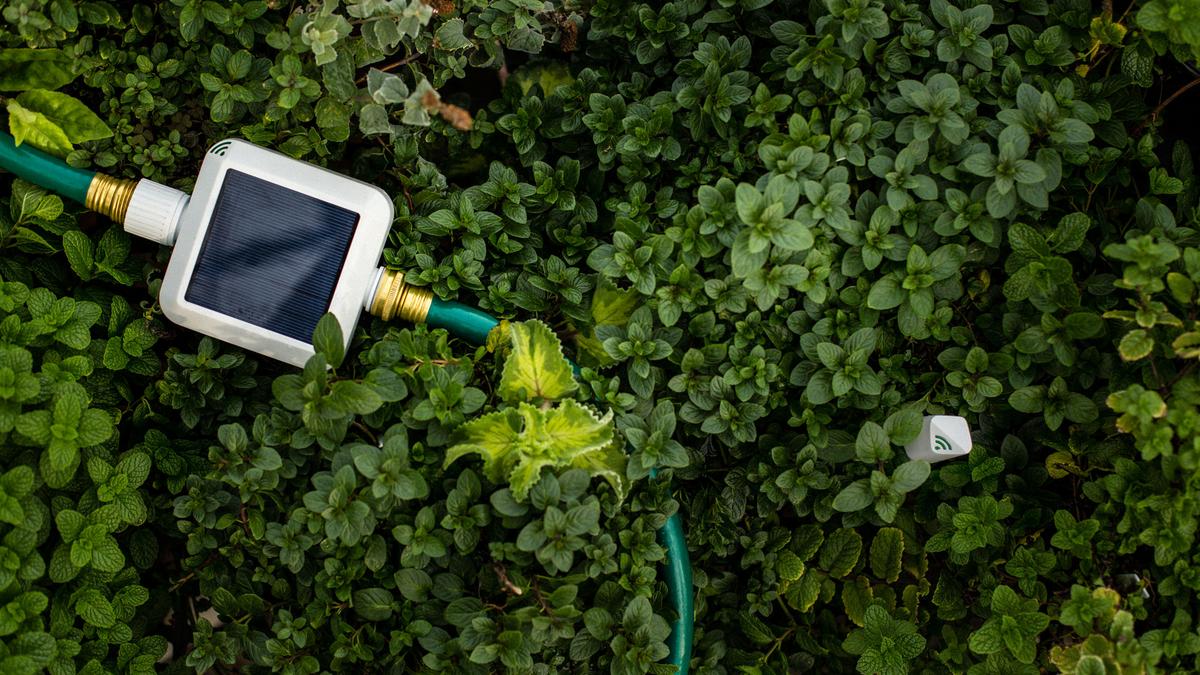 Scotts Miracle Gro Nyse Smg Acquires Blossom And Plantlink As Part Scotts Miracle Gro Nyse Smg Acquires Blossom And Plantlink As Part Of Its Water Management Connected Yard Programs Columbus Business First
