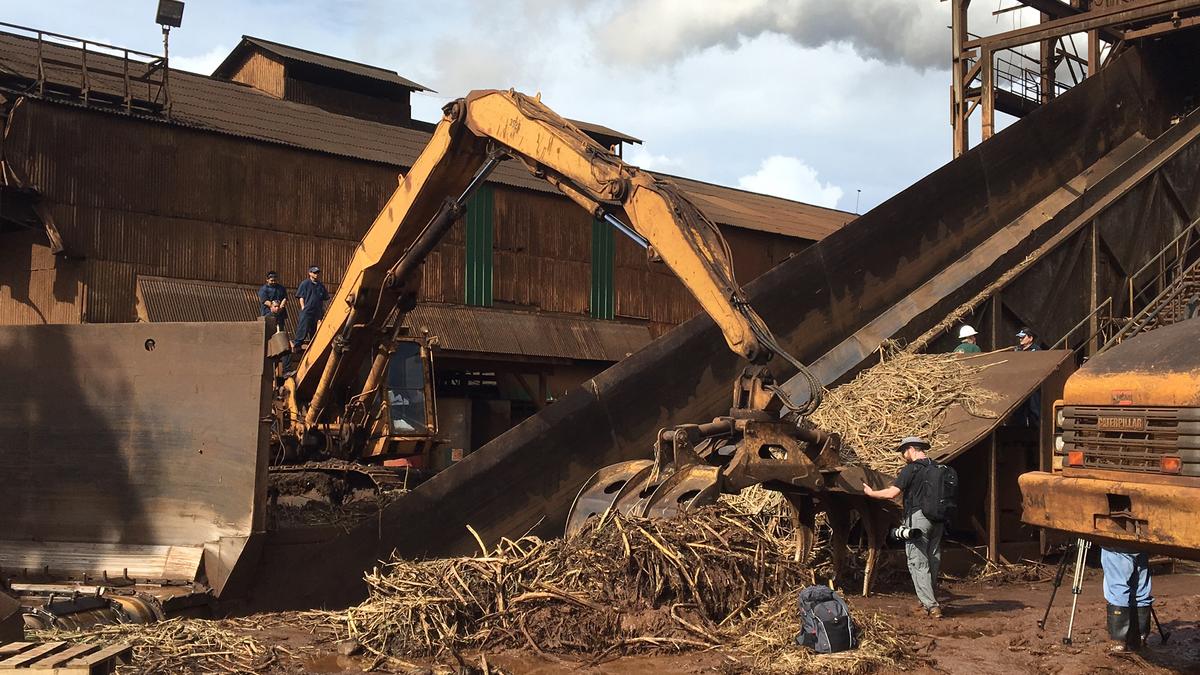 Alexander & Baldwin's Hawaiian Commercial & Sugar Co. holds last sugar