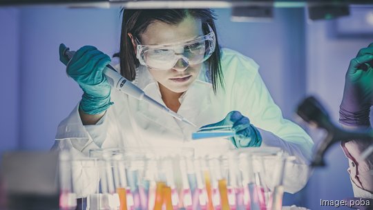 Scientist  In Laboratory