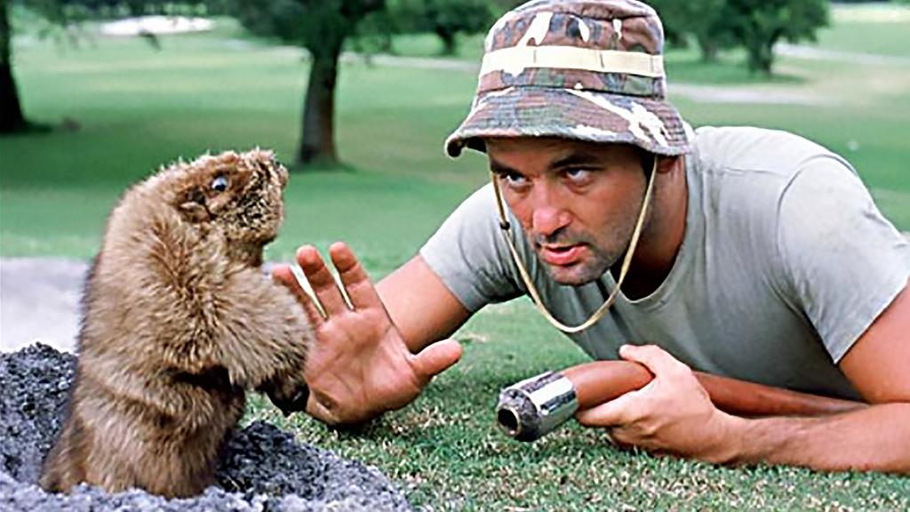 Bill Murray and brothers to open 'Caddyshack' in Rosemont Chicago