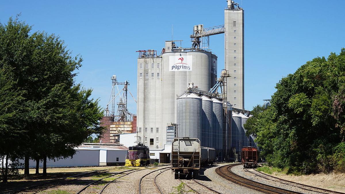 Pilgrim's Pride wraps up 350 million deal to buy Minnesota chicken