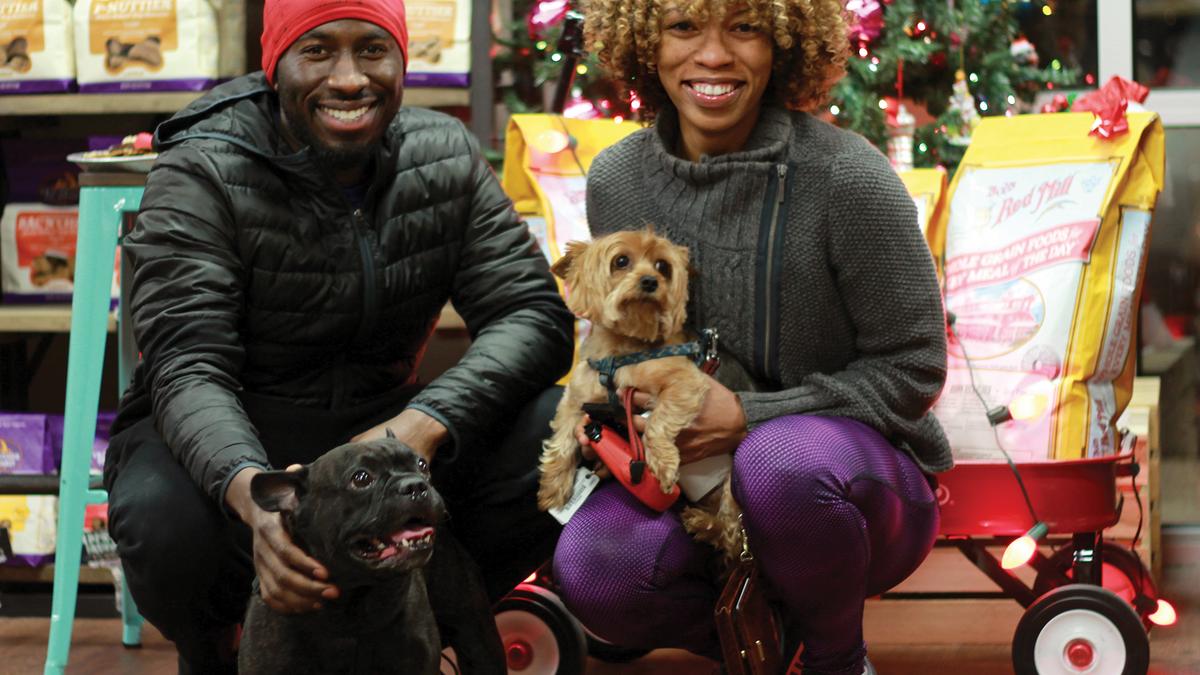 hollywood feed bakery