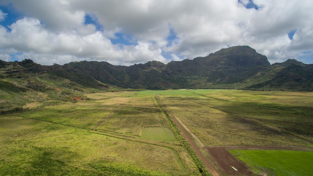 Billionaire eBay founder Pierre Omidyar's Hawaii Dairy Farms project on
