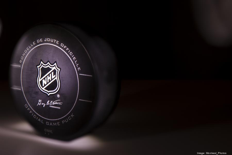 Can Alpharetta support an NHL team at North Point Mall? City leaders begin to look into it.