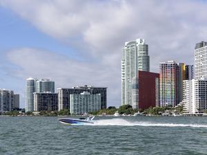 Miami Skyline