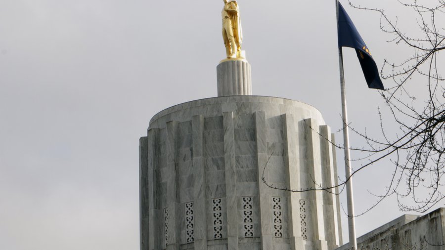 Oregon Legislature 2020: Insulin bill moves forward, while flavored vape ban  dies - Portland Business Journal