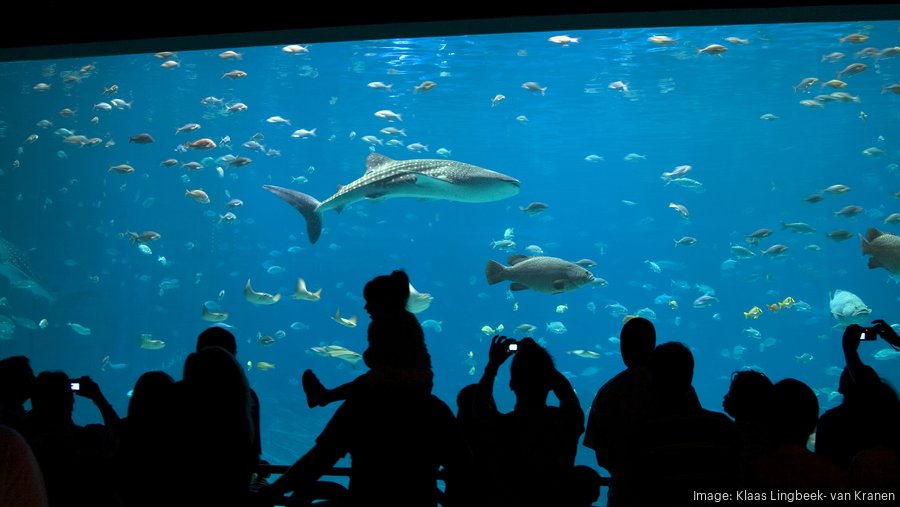 Louisville entrepreneur Ed Dana proposes large aquarium at