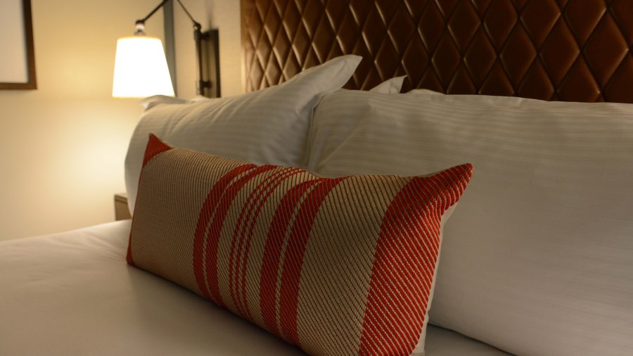 Omni hotel pillows best sale