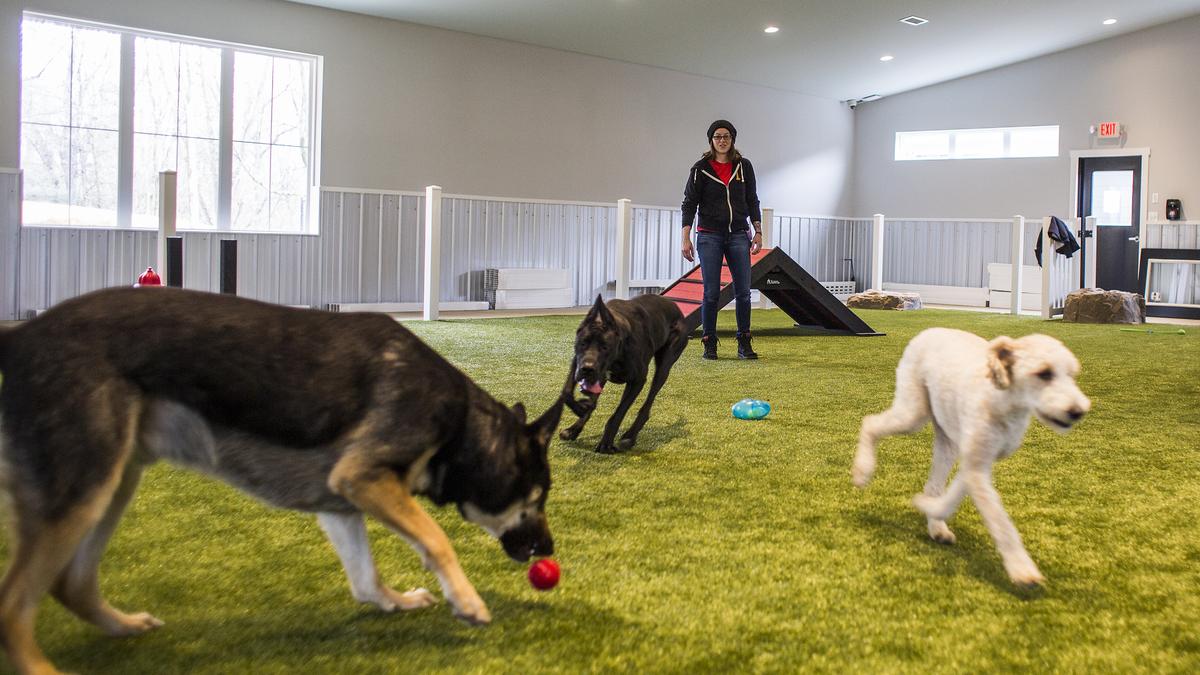 Pet Station Country Club opens Louisville's East End