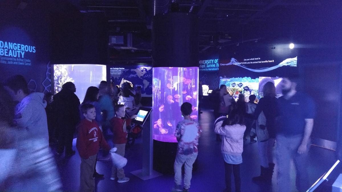 Greensboro Science Center's Wiseman aquarium expansion attracts 5,000