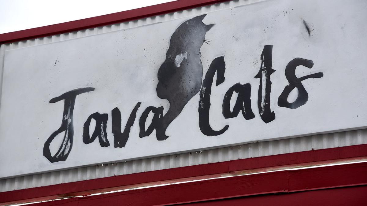 Atlanta’s first cat café opens in Grant Park Atlanta Business Chronicle