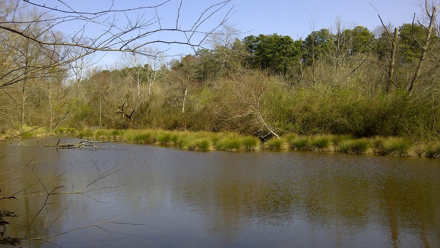 Brookhaven Park, Brookhaven - Atlanta Area Parks